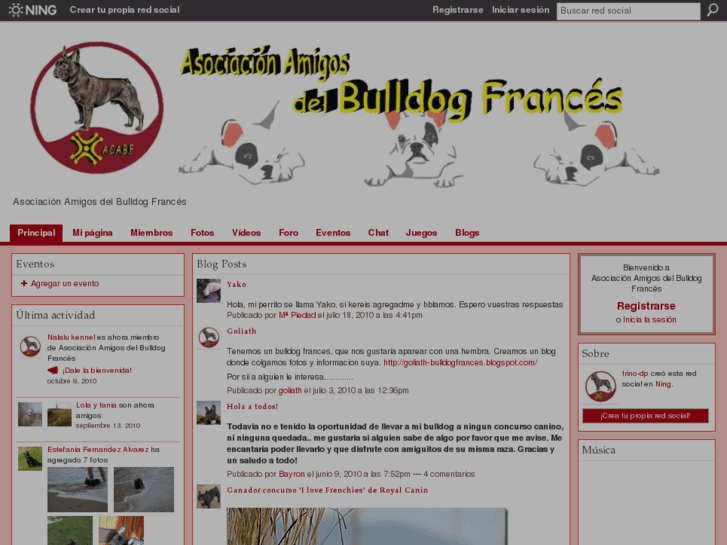 www.amigosdelbulldogfrances.es