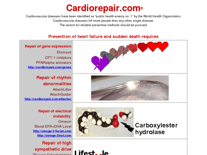 www.cardiorepair.com