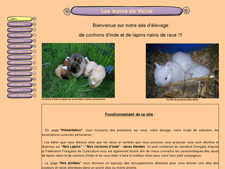 www.lapins-de-vanie.net