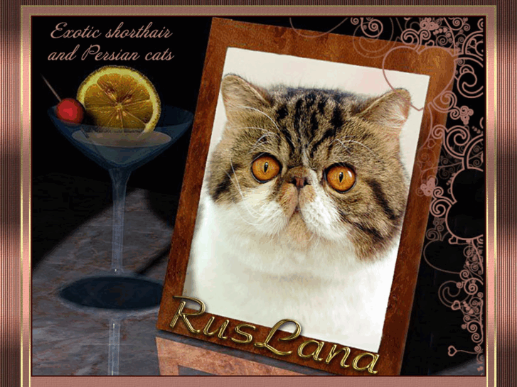 www.ruslanacats.ru