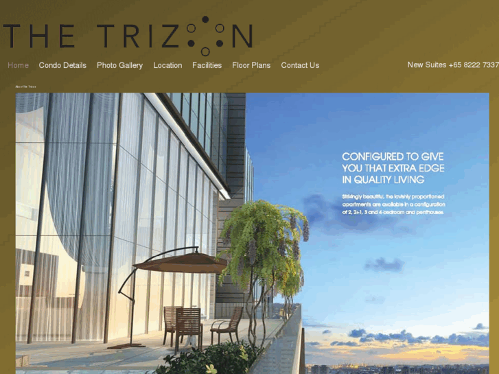 www.thetrizon.net