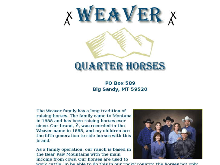 www.weaverhorses.com