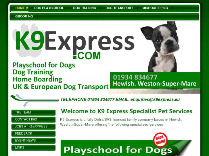 www.clevedon-dogs.com