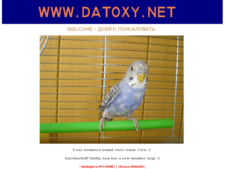 www.datoxy.net