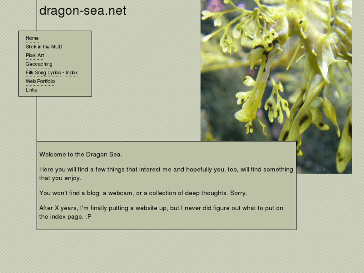 www.dragon-sea.net