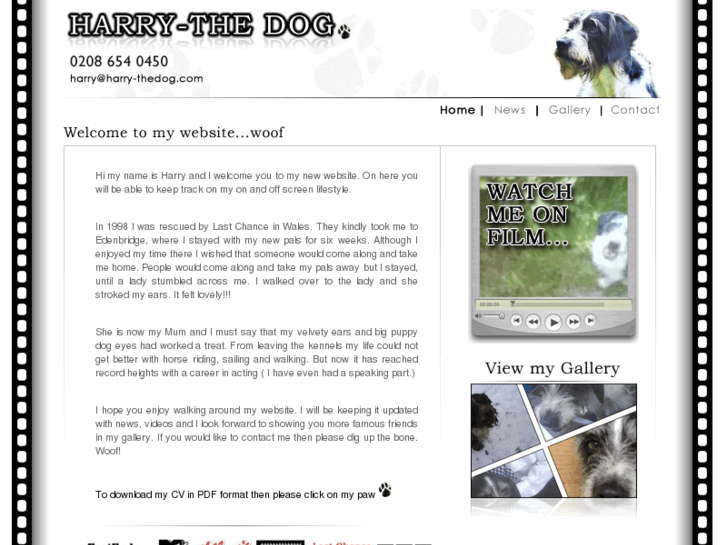 www.harry-thedog.com