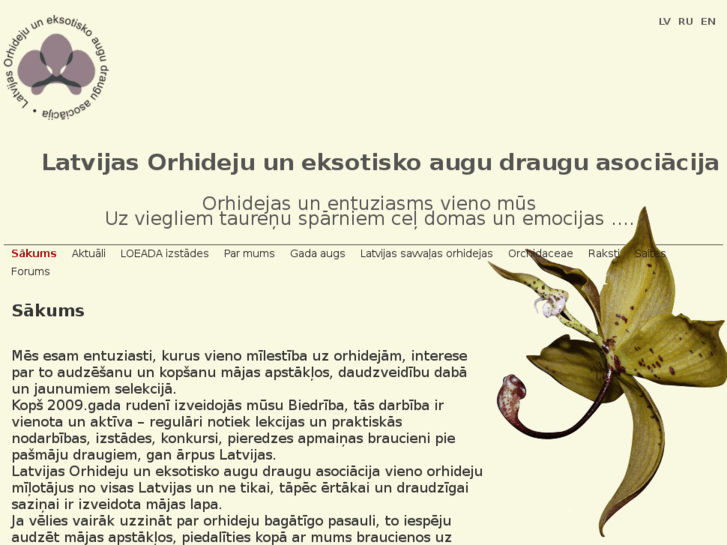 www.orchids-loeada.lv