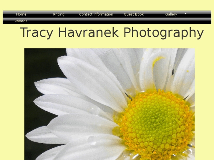 www.tracyhavranek.com