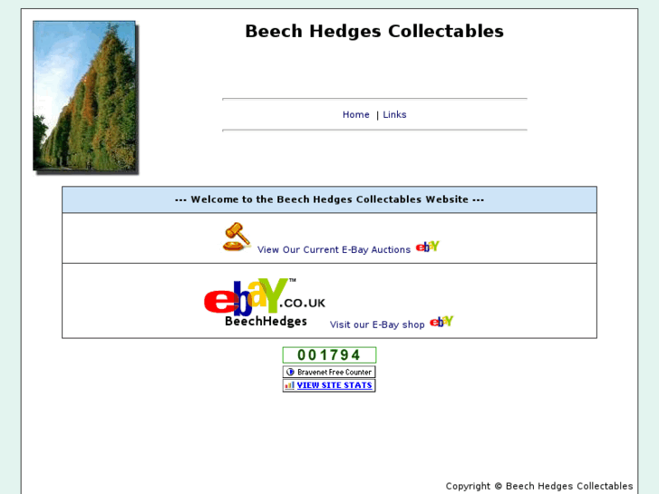 www.beechhedges.com