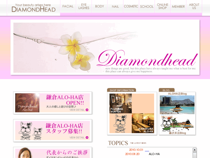 www.diamondhead.co.jp