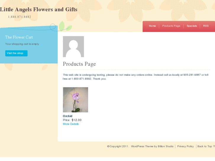 www.littleangelsflowersandgifts.com