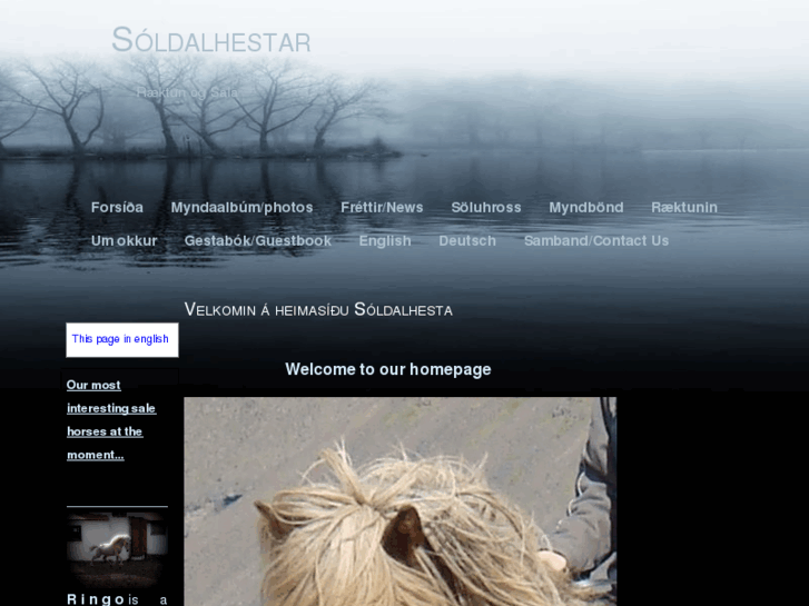 www.soldalhestar.com