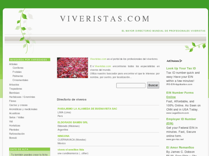 www.viveristas.com