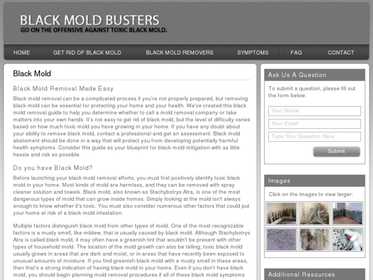 www.blackmoldbusters.com