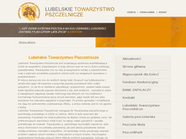 www.ltp.net.pl