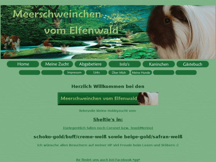 www.meerschweinchen-vom-elfenwald.de