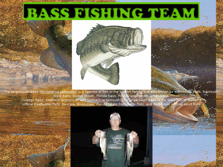 www.bassfishingteam.com