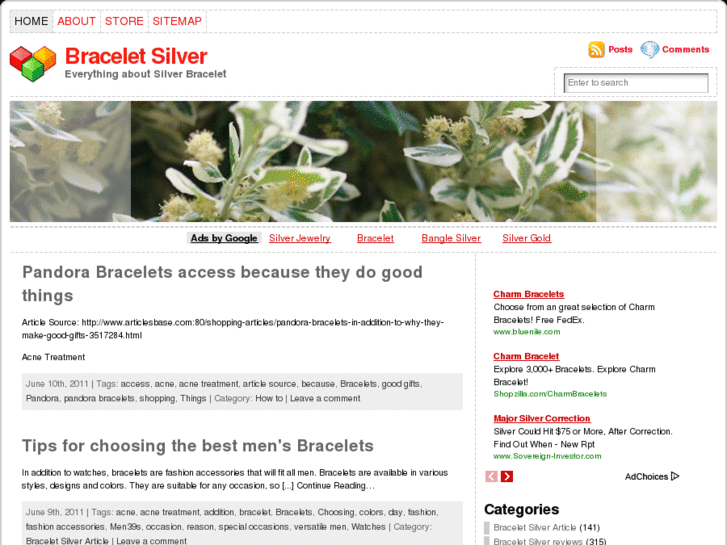 www.braceletsilver.net