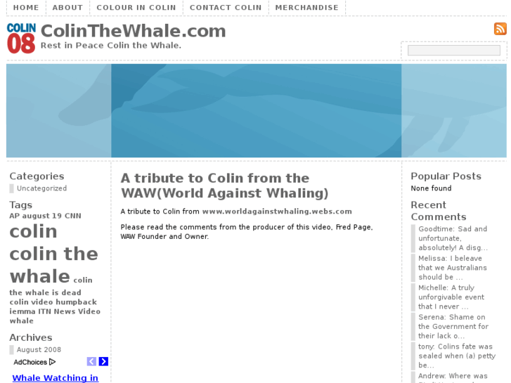 www.colinthewhale.com