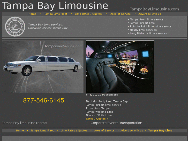 www.tampabaylimousine.com