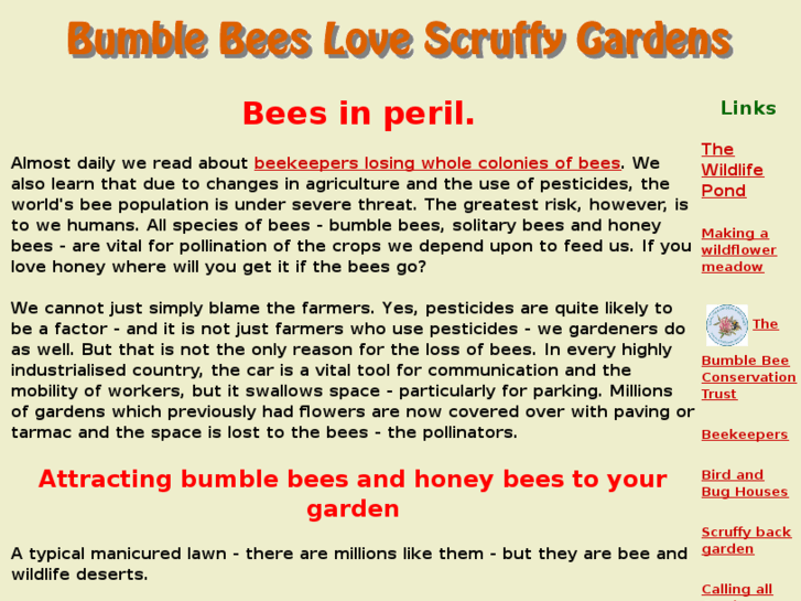 www.bumblebeeslovescruffygardens.com