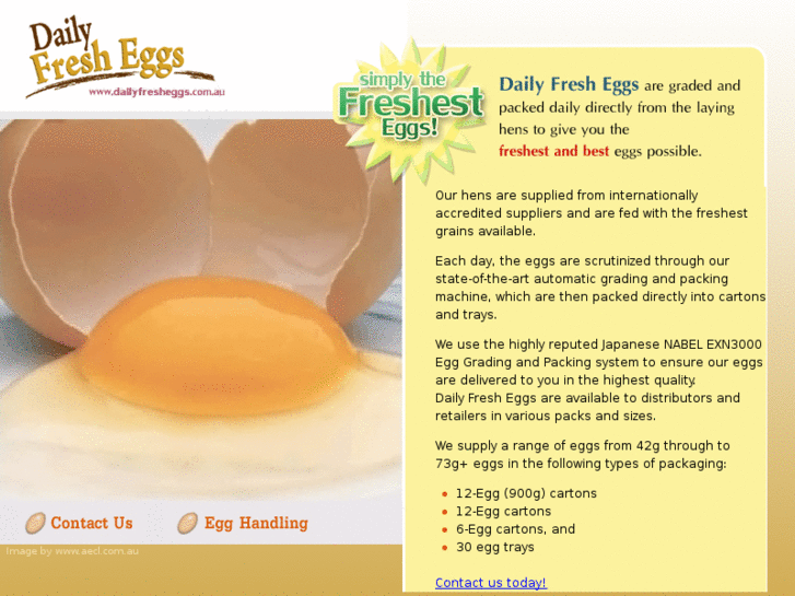 www.dailyfresheggs.com