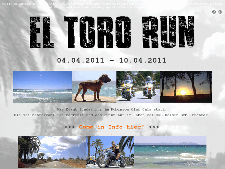 www.el-toro-run.com