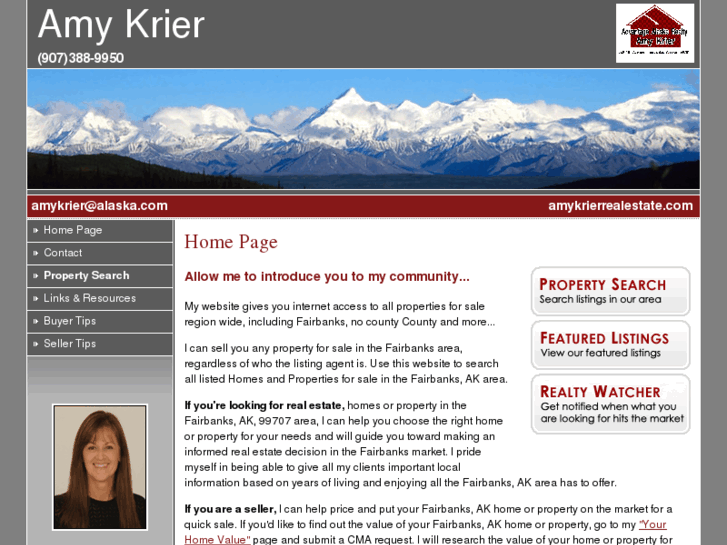 www.amykrierrealestate.com