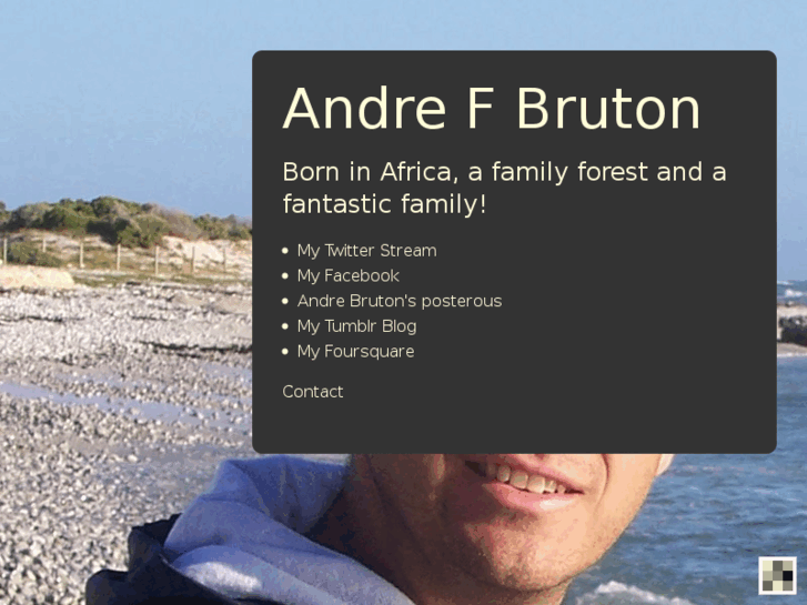 www.andrebruton.com