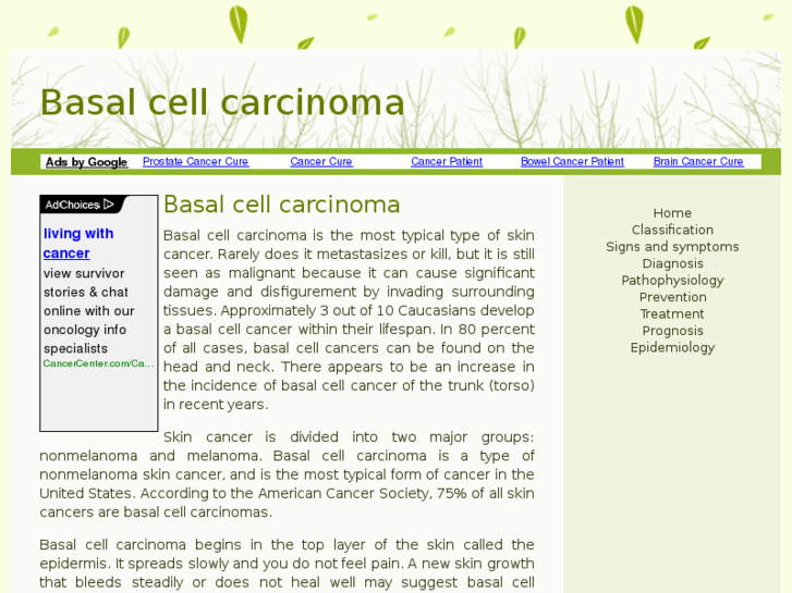 www.basal-cell-carcinoma.info