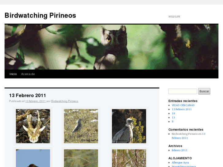 www.birdwatchingpirineos.org