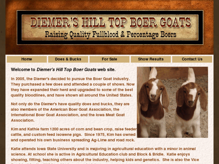 www.diemershilltopboergoats.com