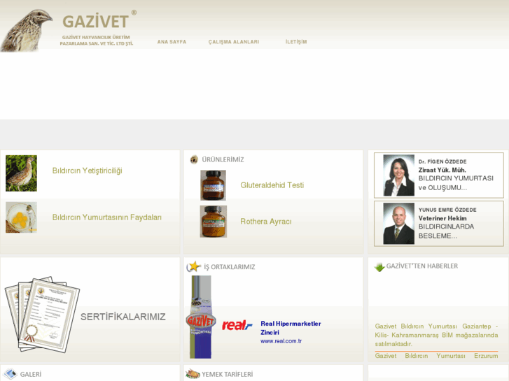 www.gazivet.com