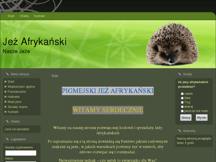 www.jezafrykanski.com