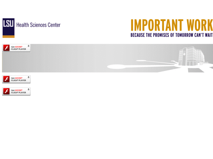 www.lsuhscimportantwork.org