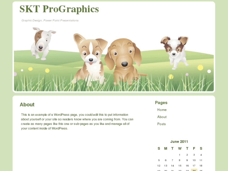 www.sktprografics.com