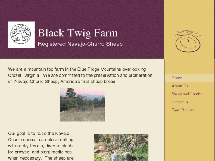 www.blacktwigfarm.com