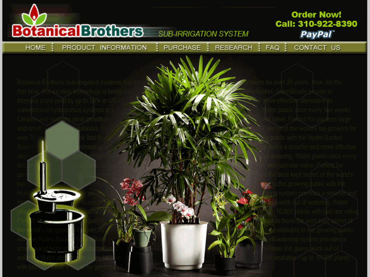 www.botanicalbrothers.com