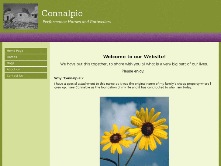 www.connalpie.com