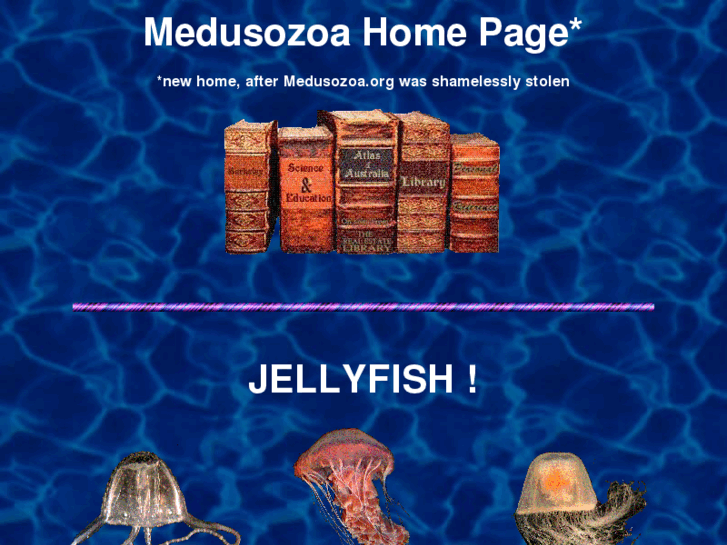 www.medusozoa.com