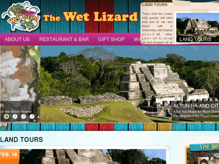 www.thewetlizard.com