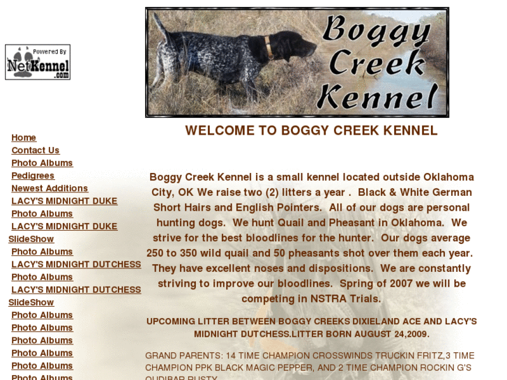 www.boogycreekkennel.com