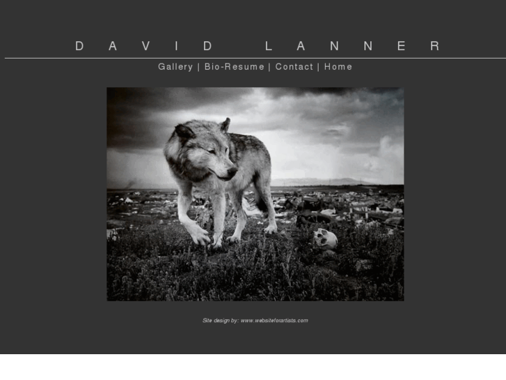 www.davidlanner.com