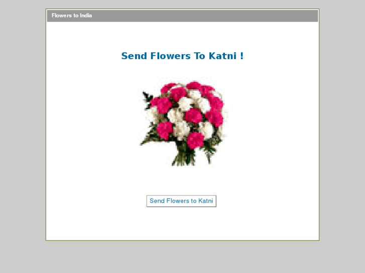 www.katniflowers.com