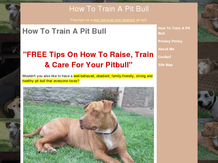 www.pitbulltrainings.com