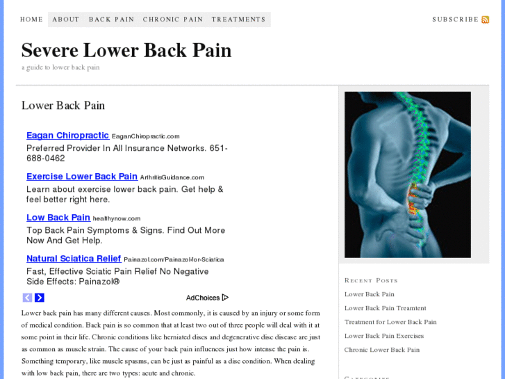 www.severelowerbackpain.net