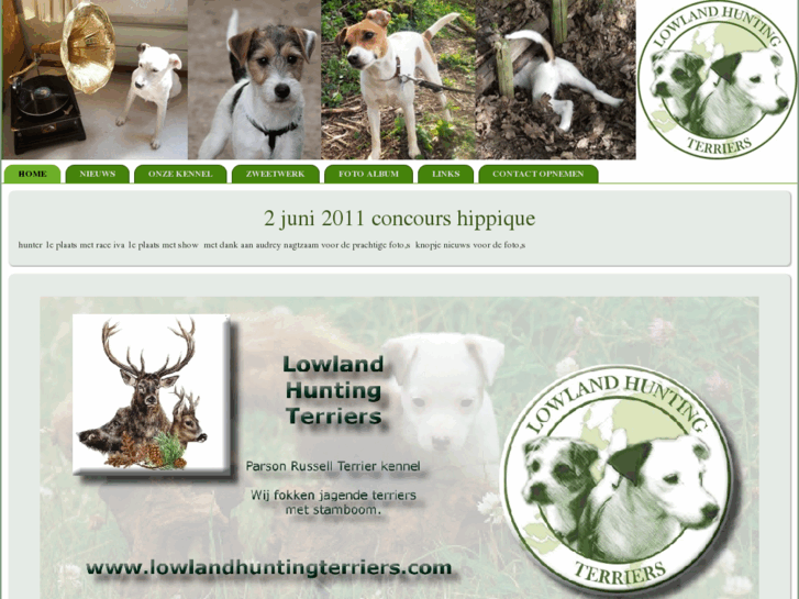 www.lowlandhuntingterriers.com