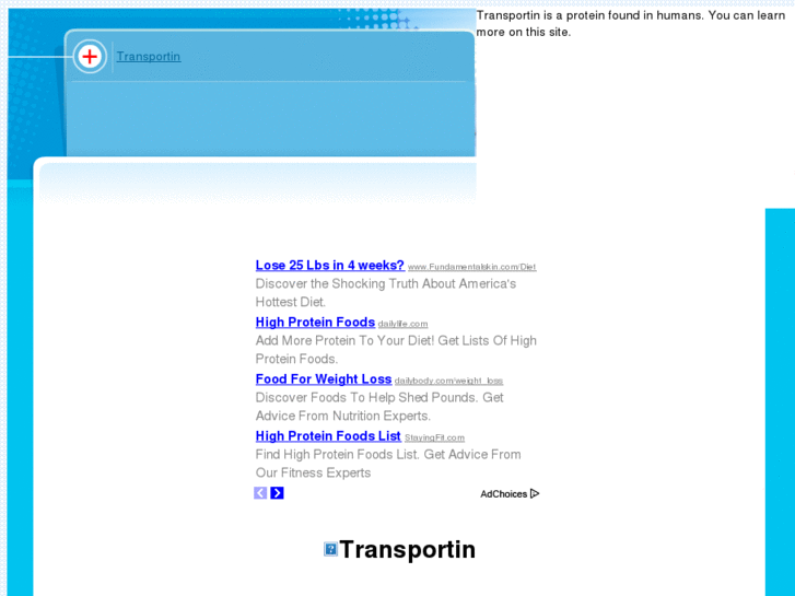 www.transportin.com