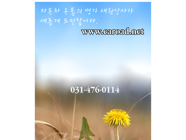 www.caroad.net