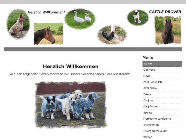 www.cattledrover.de